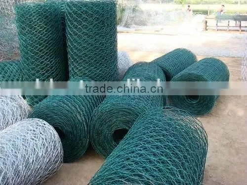 10*10electro Galvanized Hexagonal Wire Mesh Factory photo-3