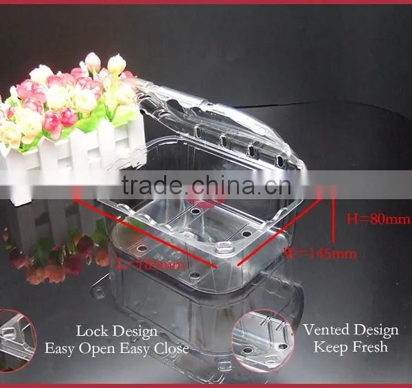 APET Plastic Fruit Box Disposable With Lid Vens DY-H1200 Transparent photo-2