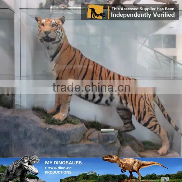 My Dino-C98 Theme Park Lifelike Fiberglass Animal Model photo-5