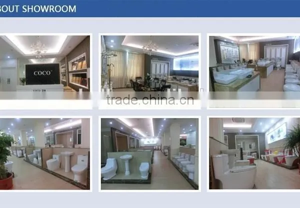 K-D3001 European Design Wall-hung Ceramic Toilet Manufactory Price for Arabic photo-3