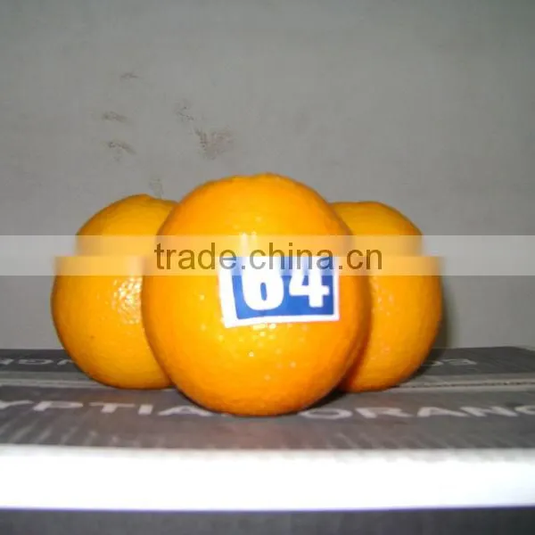 Fresh Orange