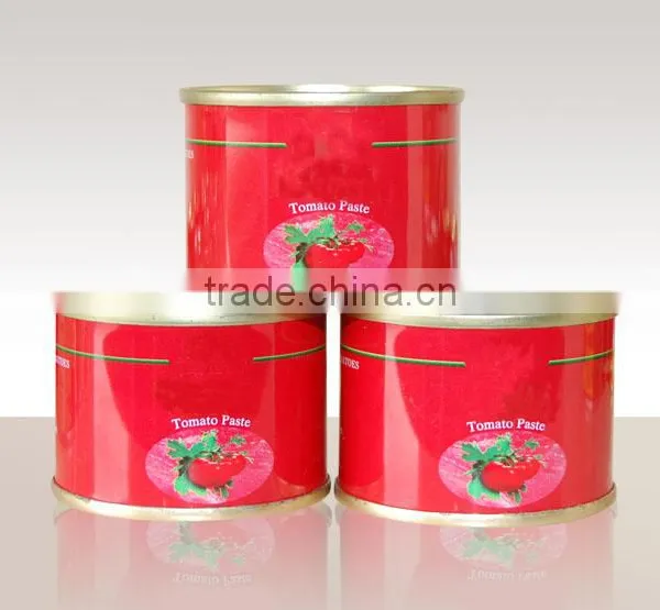 Made in China Ketchup Export Saudi Arabia Canned Tomato Sauce 70g 198g Tomato Paste photo-2