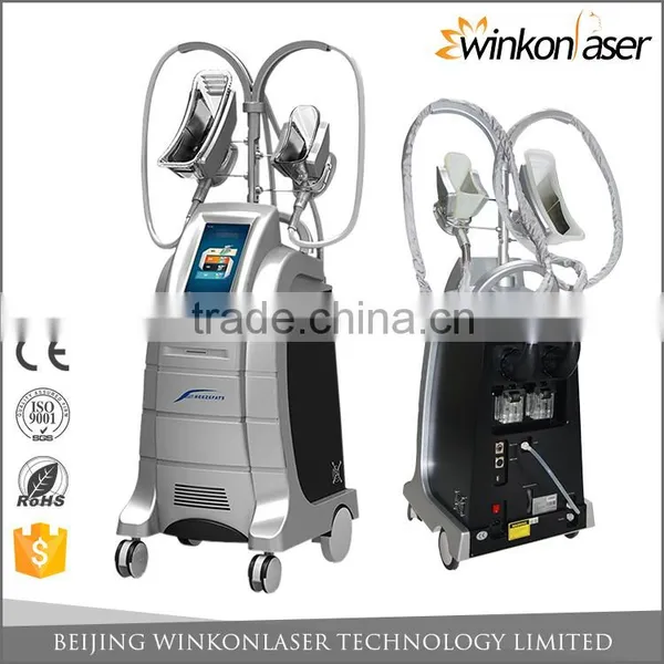 Cryolipolysis / Freezing Fat Cell Body Shaping Slimming Machine/cryolipolysis Machine Price Body Slimming photo-2