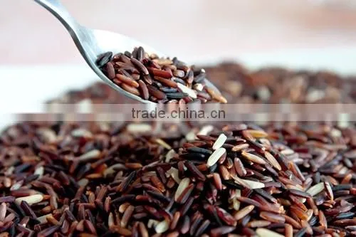 Thai Riceberry Organic Rice Red Rice