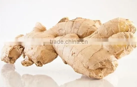 Wholesale Organic Common Cultivation Type Fresh Ginger photo-4