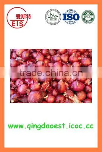 Export Fresh New Crop Red Yellow Onion photo-4