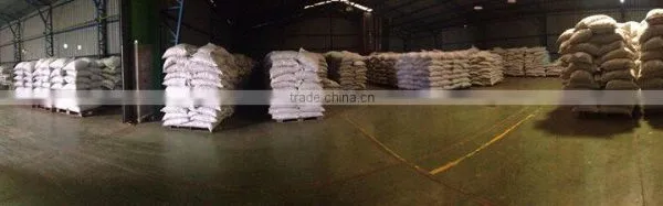 WASHED ARABICA GREEN COFFEE BEANS GRADE 1 SCREEN 16 photo-2