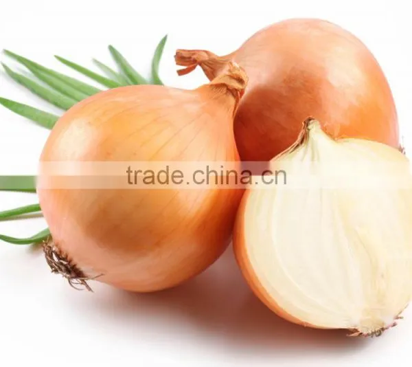 Fresh Onion