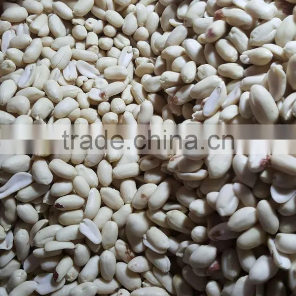 New Crop Blanched Peanut Kernel photo-2