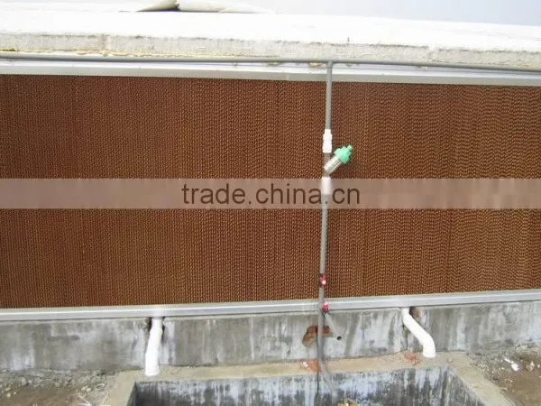 Prefabricated Chicken Poultry Broiler House and Automatic Equipment photo-3