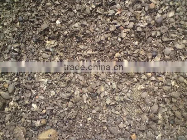 Palm Kernel Shell