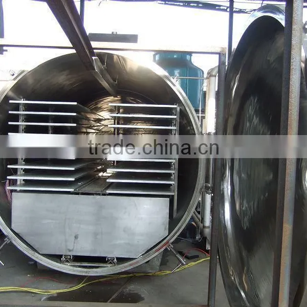 High Quality Lemon Freeze Dryer photo-4