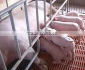 FL Sow Farrowing Crate photo-5