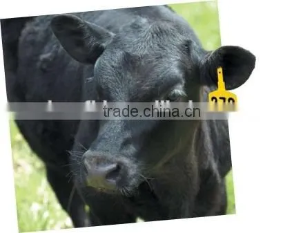 2015 Competitive Price Microchip Read-only RFID Animal Tag (SL-1001) photo-5