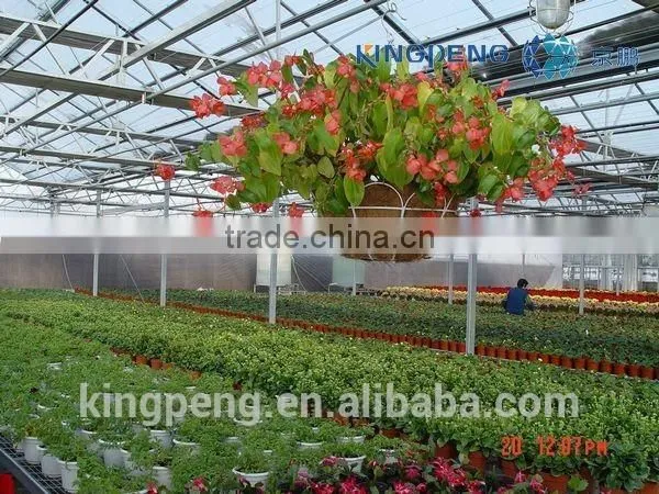 Greenhouse for Growing Flowers photo-5