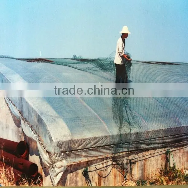 Agricultral Transparent Hdpe uv Resistant Plastic Film for Greenhouse photo-4