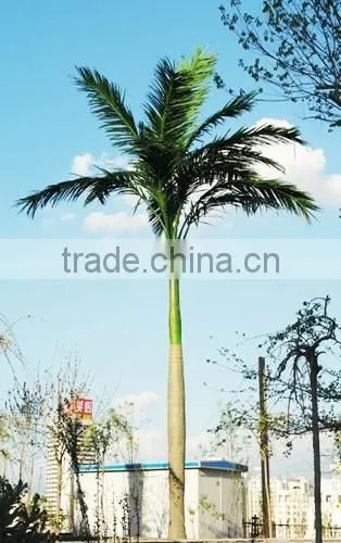 Home Garden Edging Decorative 5ft to 16ft Height Outdoor Artificial Green Plastic Palm Trees EDS06 0841 photo-5