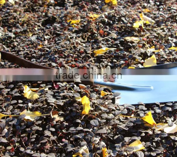 High Grade and Quality D Shape Stainless Steel Flat Construction Shovel photo-4