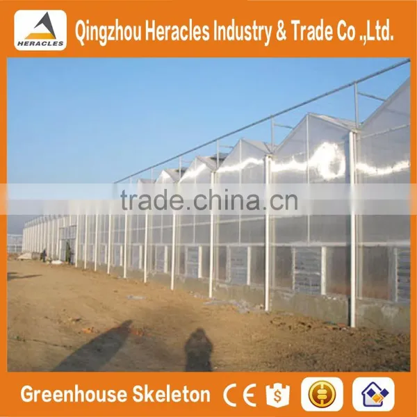 Heracles Trade Assurance Multispan Tunnel Greenhouse photo-3
