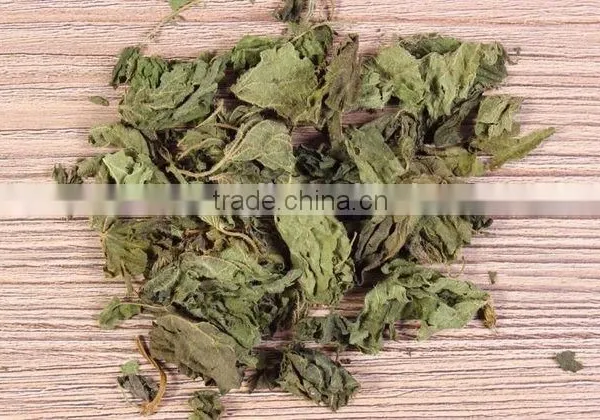 Traditional Medicinals Organic Nettle Leaf Tea Herbal Tea photo-4