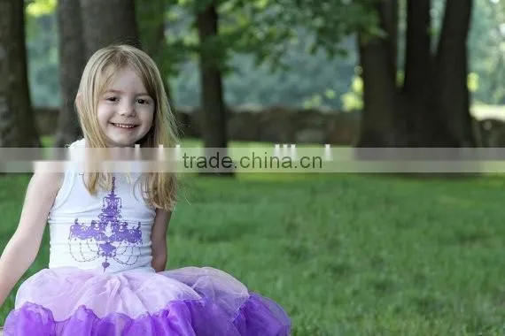 Hot Sale Cute Tutu Skirts Teen Pettiskirt Pettiskirt Outfit Cute Girls Skirt Chiffon Wholesale Pettiskirts Set for Girls photo-2