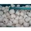 New Crop Frozen Iqf Lychee Whole