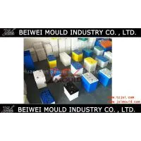 Injection Plastic Battery Container Mould