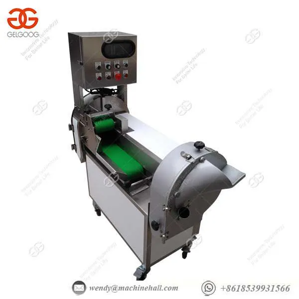 Variable Speed Vegetable Slicer Machine Leeks, Strip
