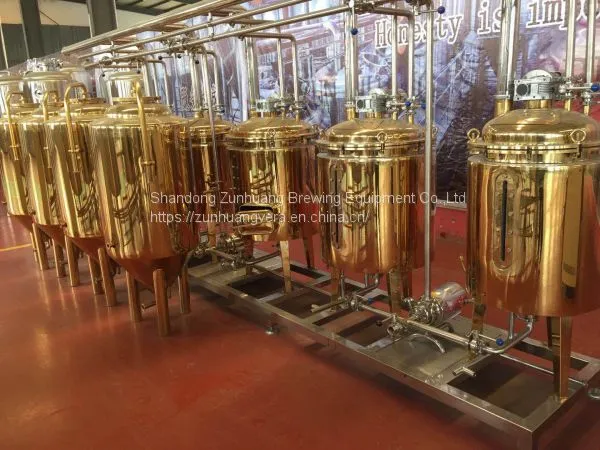 300L/ 2BBL Titanium Plating Stainless Steel Beer Fermentation Tank Beer Fermenter photo-4
