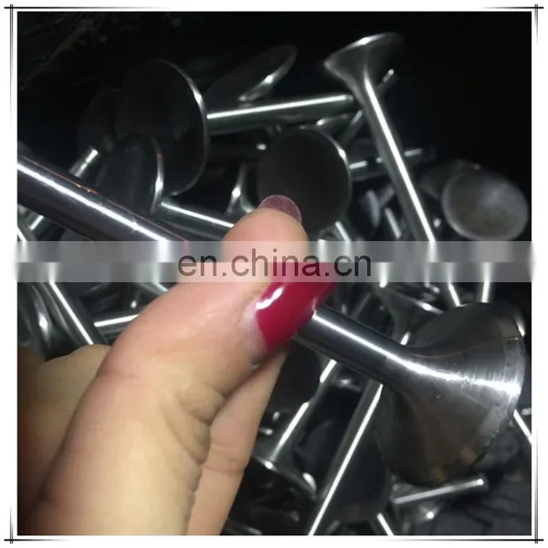 Austematic Steel Inlet and Exhaust Engine Valve For Volvo TAD520GE TAD740GE TAD720GE TAD941GE TAD1241GE photo-5