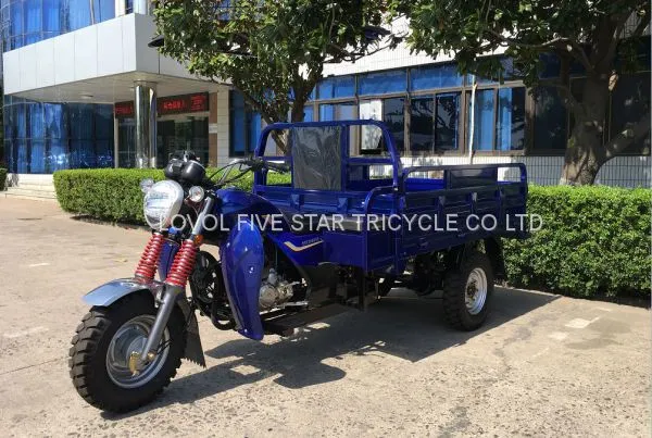 1000KG GASOLINE TRICYCLE BRAND NEW LOVOL THREE WHEELER CARGO LOADER TRIKE Rickshaw photo-2