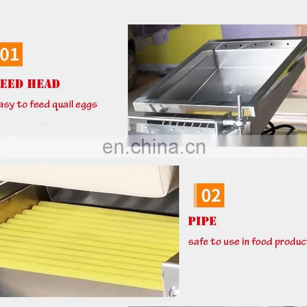 QE-150 Easy Handle and Factory Directly Supply Fully Automatic Quail Egg Stripper Price For Sale/Food Processing Machine photo-5