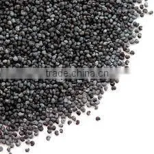 Blue Poppy Seed