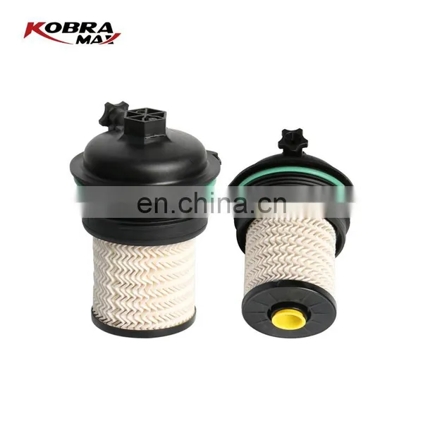 165571618R Fuel Filter For RENAULT 165571618R photo-2