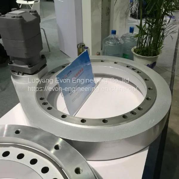 Hot Sale Slewing Ring Bearing 010.20.250 photo-2
