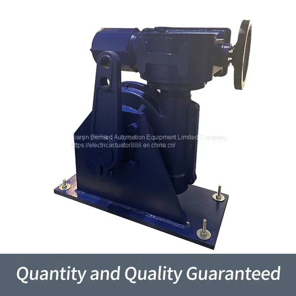 Bernard Angle Stroke B+RS250/K40H Integrated Fine Small Electric Actuator photo-3
