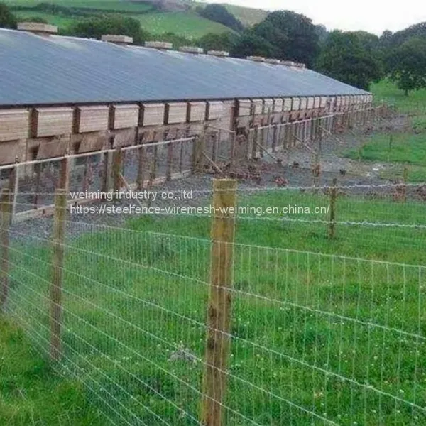 Field Fence photo-5
