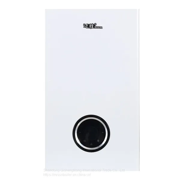 China Factory Gas Wall Hung Boilers Wholesale Price Domestic Lpg Ng Instant Gas Geyser Boiler photo-2