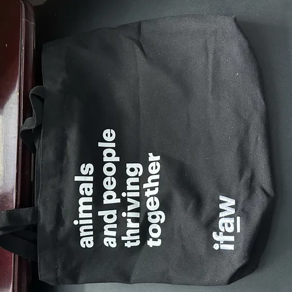 Exhibition Using or Shopping Using Light Weight Wool Felt/Canvas/Linen OEM Stylish Tote Bag photo-5