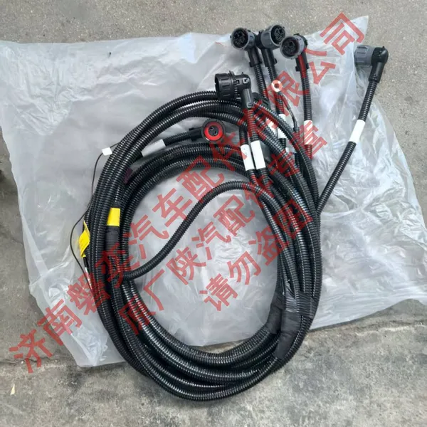 SHACMAN Shaanxi Automobile Delong Truck Accessories Original Factory Transfer Case Chassis Wire Harness DZ97189774936