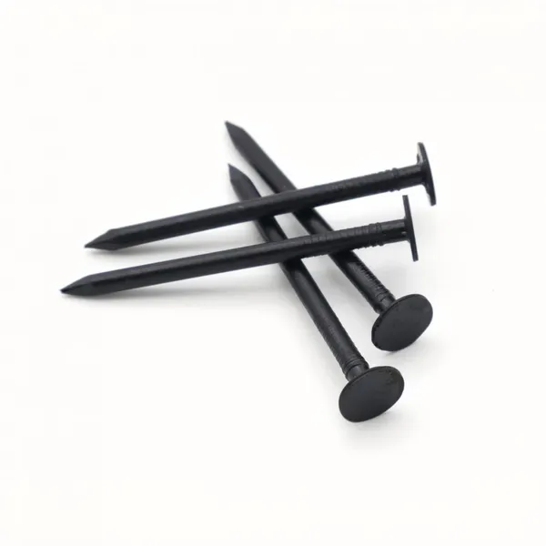 Black Wire Nails Q195 for Wooden Pallet Assembly and Fencing photo-5