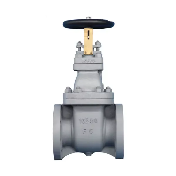 Hot Sale JIS Cas Iron Flange Type Gate Valve Use Marine FC 5K 100A 65A Gate Valve photo-3