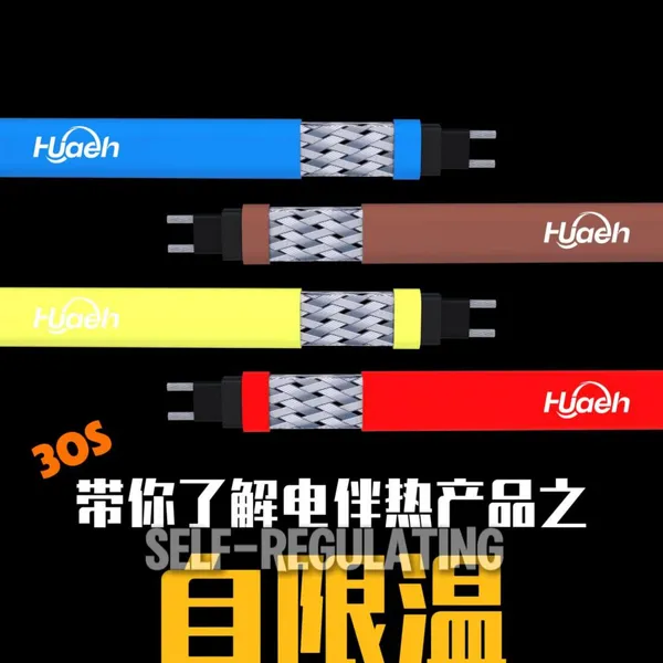 Conductive Polymer Gwk Cable for Anti-Freeze and De-Icing Solutions-Iecex and EAC Certified photo-5