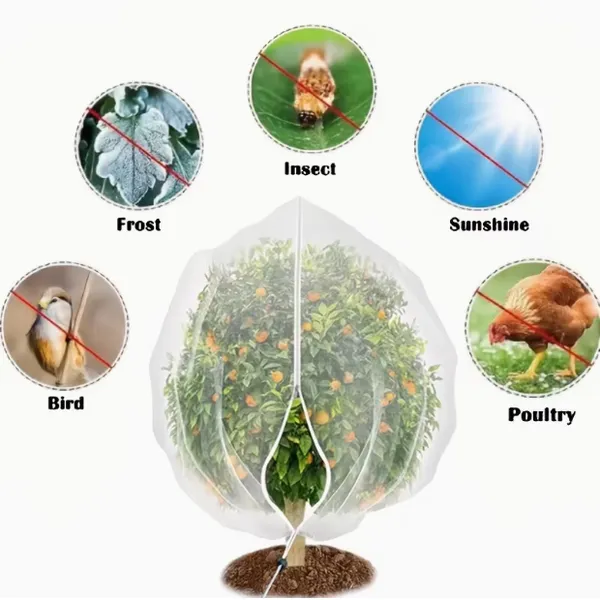 Durable Anti Insect Net for Pest Control in Greenhouse and Nursery photo-5