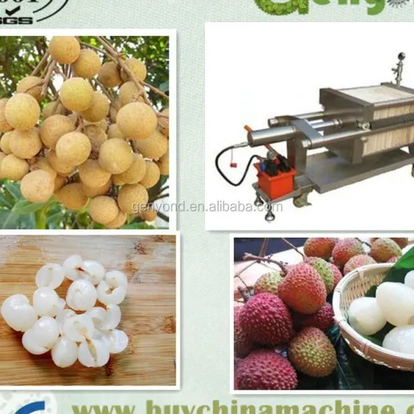 Factory Small Lychee Longan Peeling Peeler and Pit Removing Pitting Machine Pitter photo-2