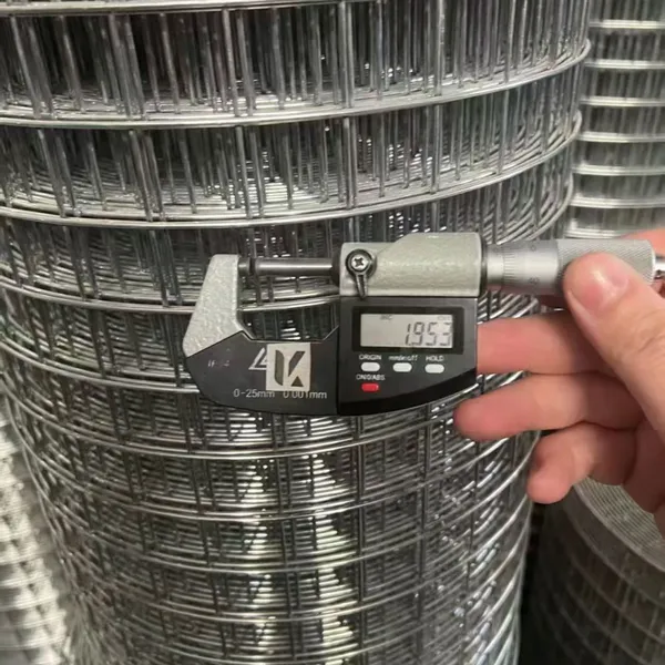 Welded Wire Mesh photo-3