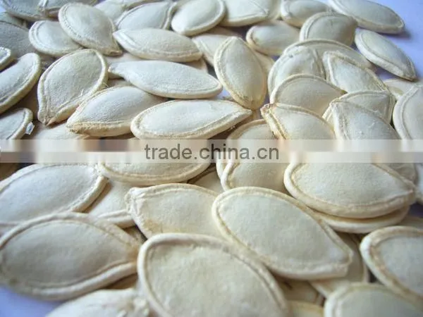 Pumpkin Seeds