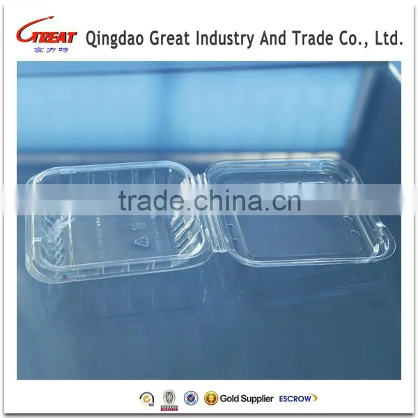 PET Disposable Blister Blueberry Clamshell Container photo-2