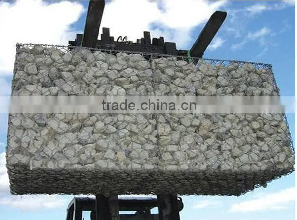 Chicken Wire Mesh/Galvanized Hexagonal Wire Mesh photo-2