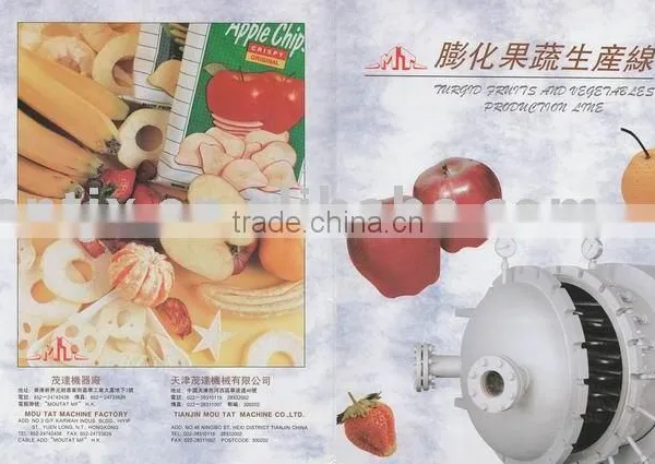 The Fresh Fruit and Vegetable Chips Production Line